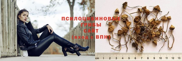 каннабис Абинск