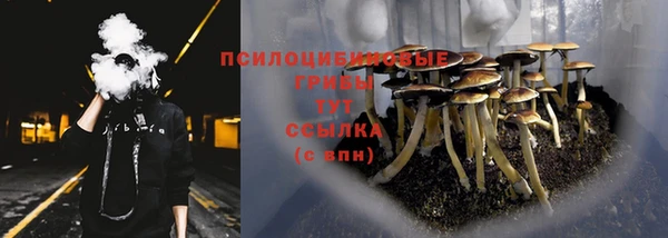 каннабис Абинск
