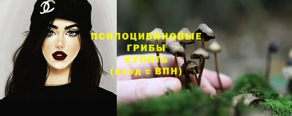 гашик Абаза