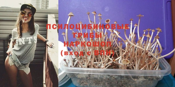 гашик Абаза