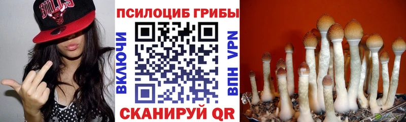 купить  цена  Липецк  Псилоцибиновые грибы Magic Shrooms 